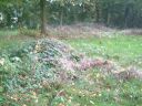 freibad_25-10-14-005.jpg